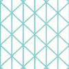 BOX KITE T10132